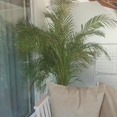 Ormos Luxury Ammos אורמוס פנגיאס